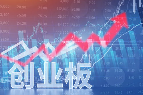 收入利润双降，冲击创业板之路几经波折——宾酷网络信息技术咨询业务面临挑战