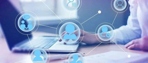 阿北管不好豆瓣？信息技术咨询视角下的平台治理困境